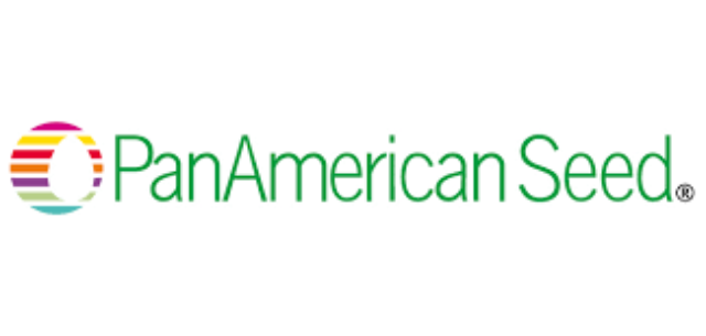 Panamerican seed